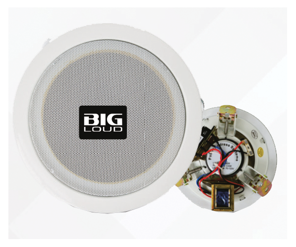 CSX-1005T Ceiling Speaker