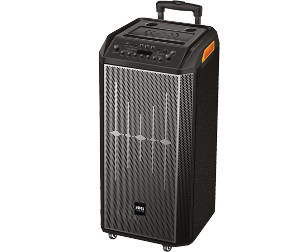 EPIC D-12 — Dual 12 Professional Speaker