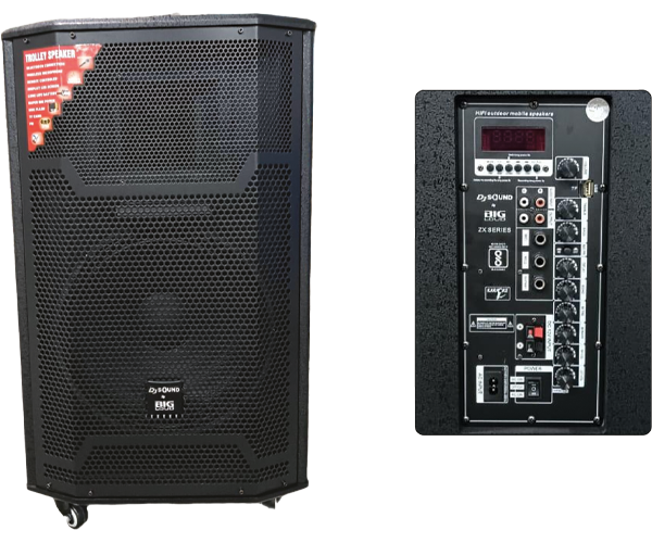 ZX-Series — 12 Professional Wooden Speaker